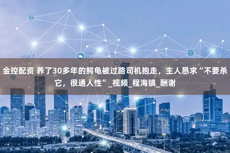 金控配资 养了30多年的鳄龟被过路司机抱走，主人恳求“不要杀它，很通人性”_视频_程海镇_酬谢