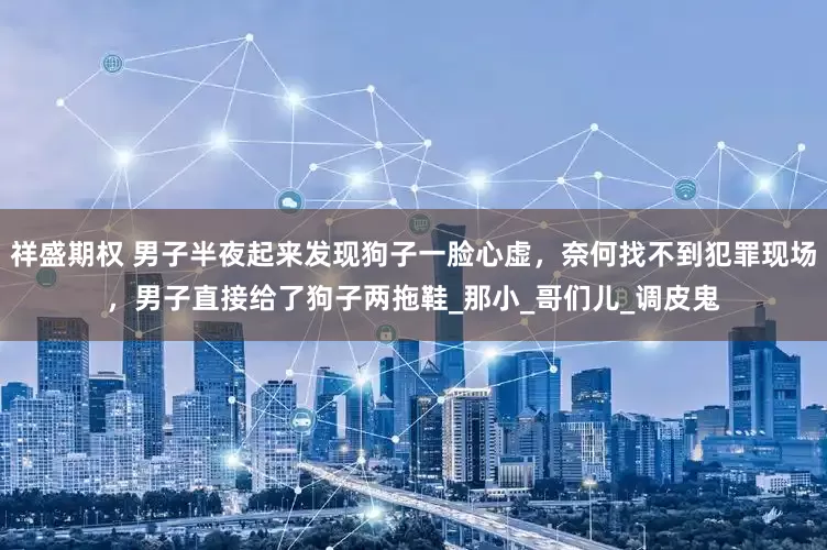 祥盛期权 男子半夜起来发现狗子一脸心虚，奈何找不到犯罪现场，男子直接给了狗子两拖鞋_那小_哥们儿_调皮鬼